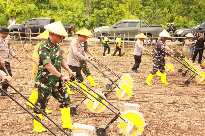 Polda NTT Tanam Jagung Lampaui Target Nasional