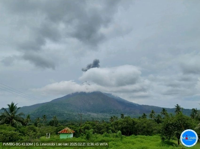 Dalam Sehari, Gunung Lewotobi Beberapa Kali Meletus dan Semburkan Abu Vulkanik 800-1000 Meter