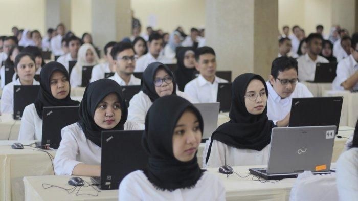 Simak Kemungkinan Inilah 16 Formasi Yang Bakal Dibuka Pada Seleksi CPNS 2025