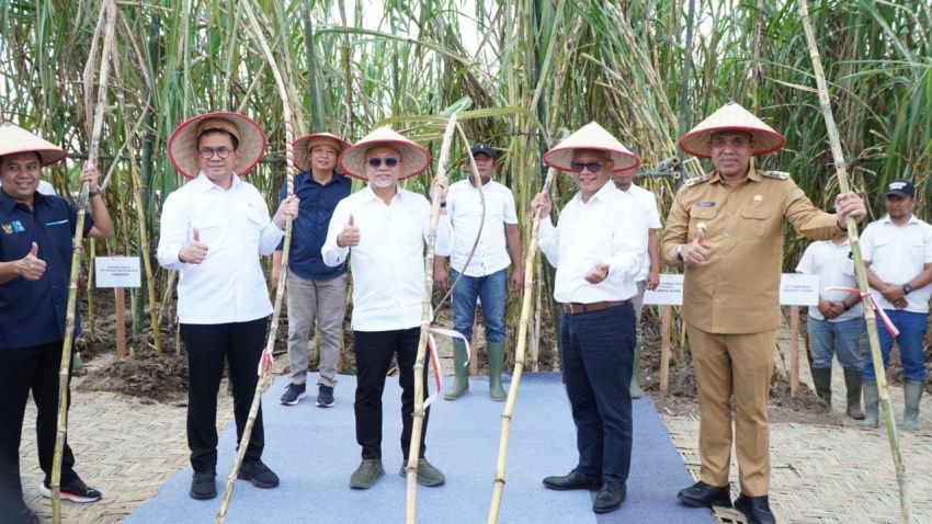 Menko Pangan dan Mendag Tinjau Panen Tebu Perdana, Pj. Bupati Langkat Tegaskan Dukungan Swasembada Gula