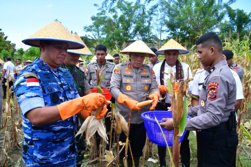 Panen Jagung di Lahan Seluas 18 Hektar, Polri Fasilitasi Pemasaran Jagung