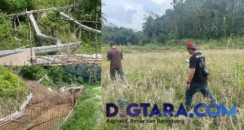 Proyek Irigasi Rp 2,3 Miliar Mangkrak, Persawahan di Sidimpuan jadi Sarang Babi Hutan