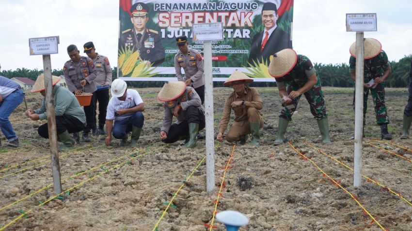 Langkat Dukung Ketahanan Pangan Nasional: Penanaman Jagung Serentak 1 Juta Hektare Dimulai