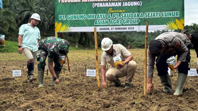 Dukung Program Ketahanan Pangan, Asian Agri Tanam Jagung Perdana di Asahan