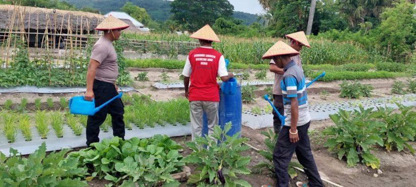 Dari Pedalaman Kabupaten TTS, Aipda Yeskiel Hadjo jadi 'Cahaya' Pendidikan, Pertanian dan Ekonomi bagi Warga