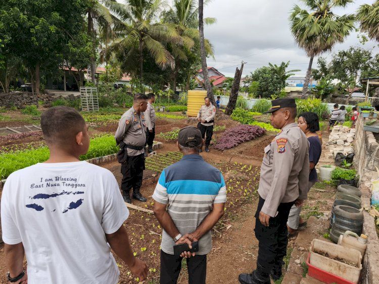 Penuhi Kebutuhan Gizi Siswa, Rumah Belajar di Kupang Kelola Pekarangan Jadi Kebun Bergizi