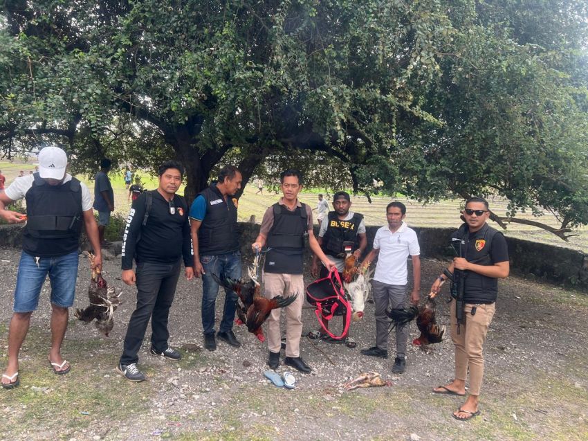 Polres Kupang Gerebek Dua Lokasi Judi, Warga Kabur Saat Polisi Datang