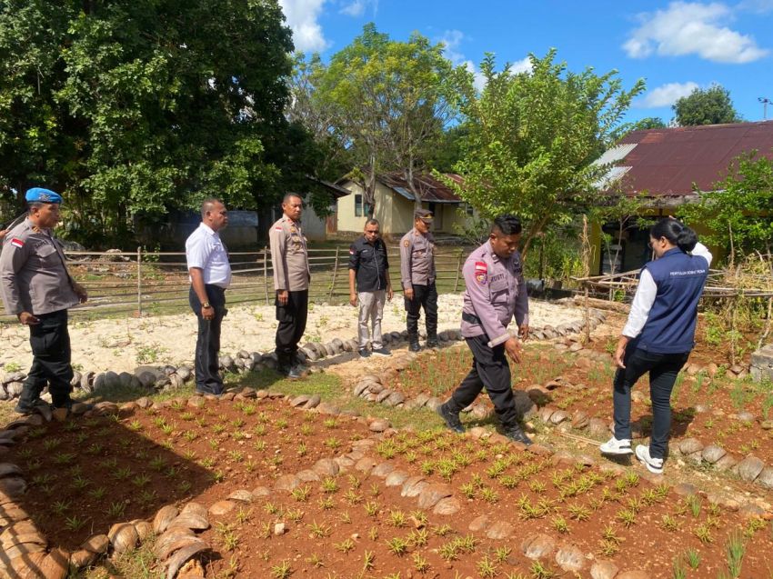 Pekarangan Pangan Bergizi Binaan Bhabinkamtibmas di Rote Ndao DIlombakan