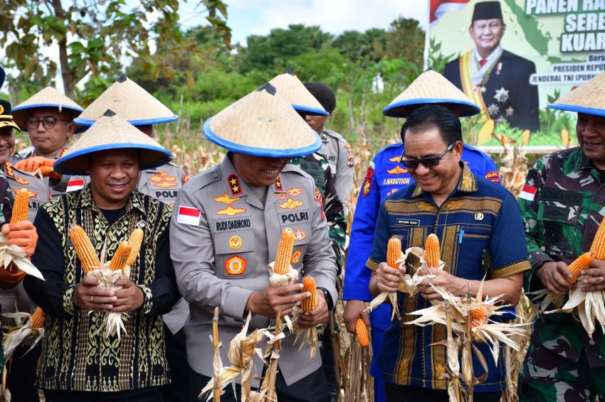 Jadikan NTT Jadi Lumbung Pangan Nasional, Kapolda NTT Pimpin Panen Raya Jagung Serentak