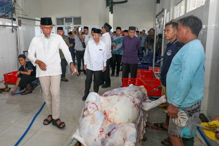 116 Sapi Kurban Baznas Jateng Dibuat Kornet, Sasar Wilayah Terpencil, Terluar dan Tertinggal