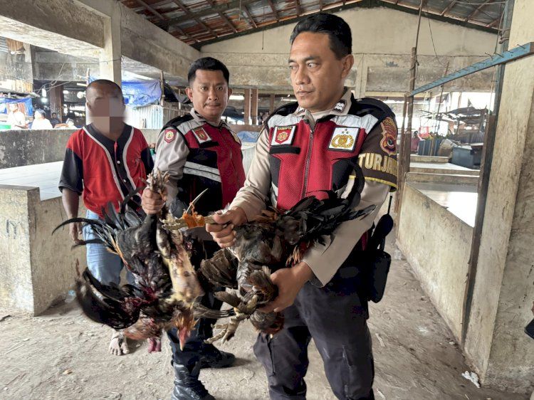 Polisi Kembali Gerebek Permainan Judi di Kawasan Pasar di Kota Kupang