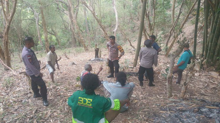 Satu Pekan Hilang Saat Cari Kayu, Lansia di Sikka-NTT Belum Juga Ditemukan