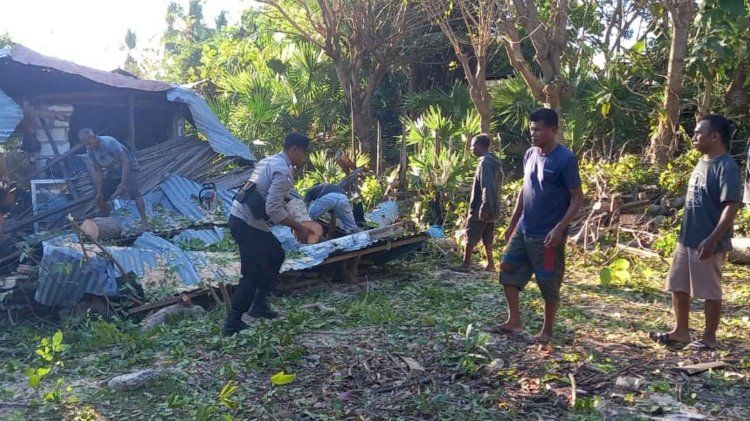 RTLH Bantuan Pemerintah Milik Warga Rote Ndao Rusak Tertimpa Pohon