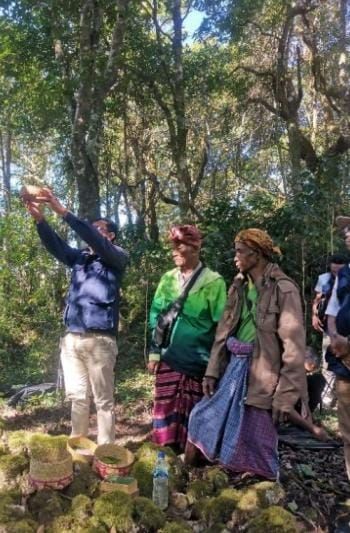 Enam Ekor Perkici Timor Dilepasliarkan di Kawasan Hutan Lindung Gunung Lakaan
