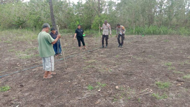 Polsek Laenmanen-Malaka Tanam Jagung Bersama Warga Demi Ketahanan Pangan di Perbatasan