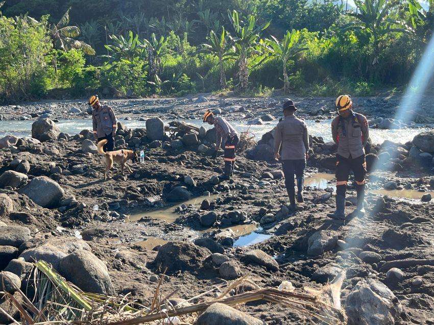 Hasil Nihil, Pencarian Korban Banjir di Nagekeo Dengan Anjing Pelacak Dihentikan