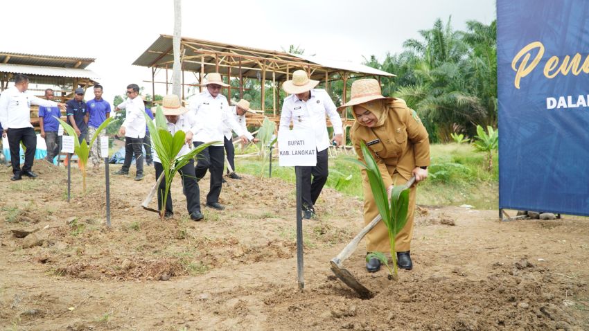 Pemkab Langkat Dukung Program Asta Cita Presiden Lewat Penanaman 360 ribu Pohon Kelapa