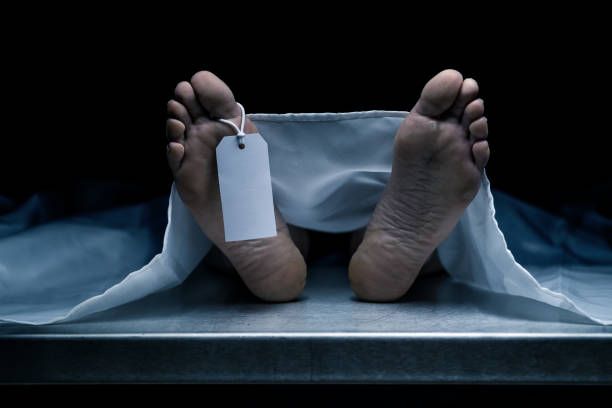 Guru Yang Juga Aktivis di Nagekeo-NTT Ditemukan Tewas Dalam Pondok