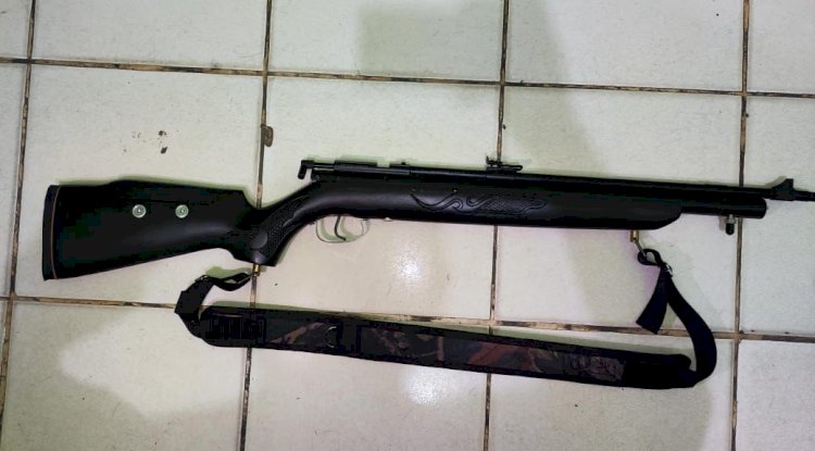 Terancam Hukuman Satu Tahun Lebih, Pelaku Penembakan Burung Hantu di Belu Tidak Ditahan