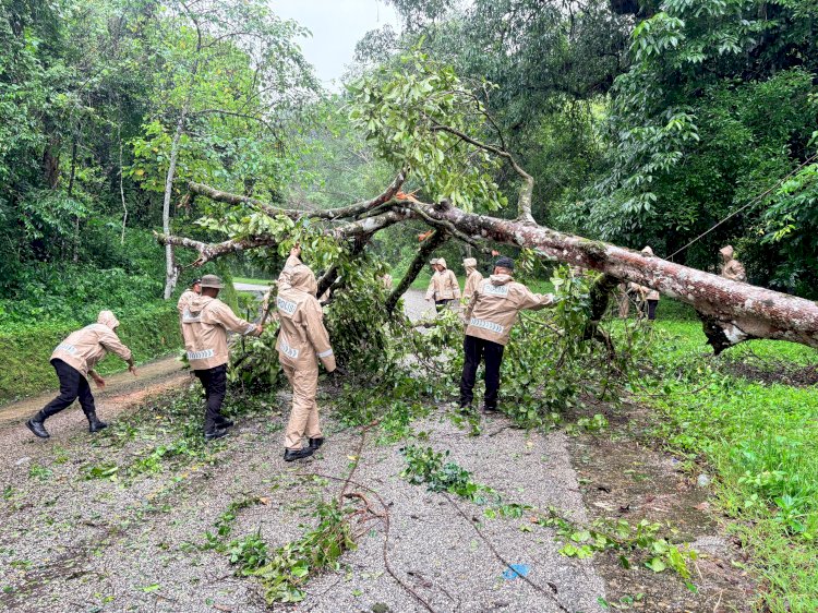 Brimob Polda NTT Bersihkan Pohon Tumbang di Jalur Tanadaru