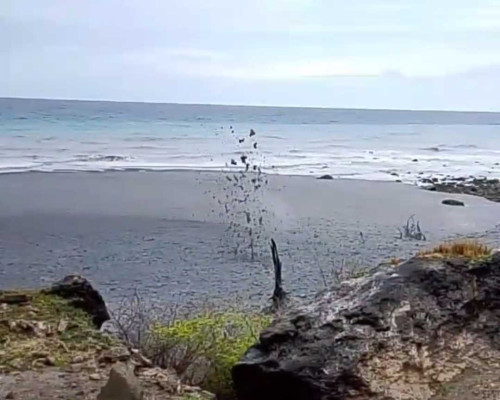 Kades Minta Dilakukan Penelitian Soal Semburan Lumpur di Semau