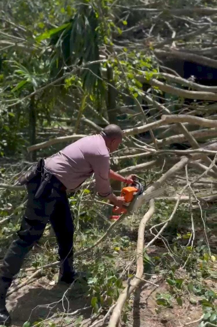 Pohon Beringin Tumbang Tindih Rumah Warga di Kabupaten TTS