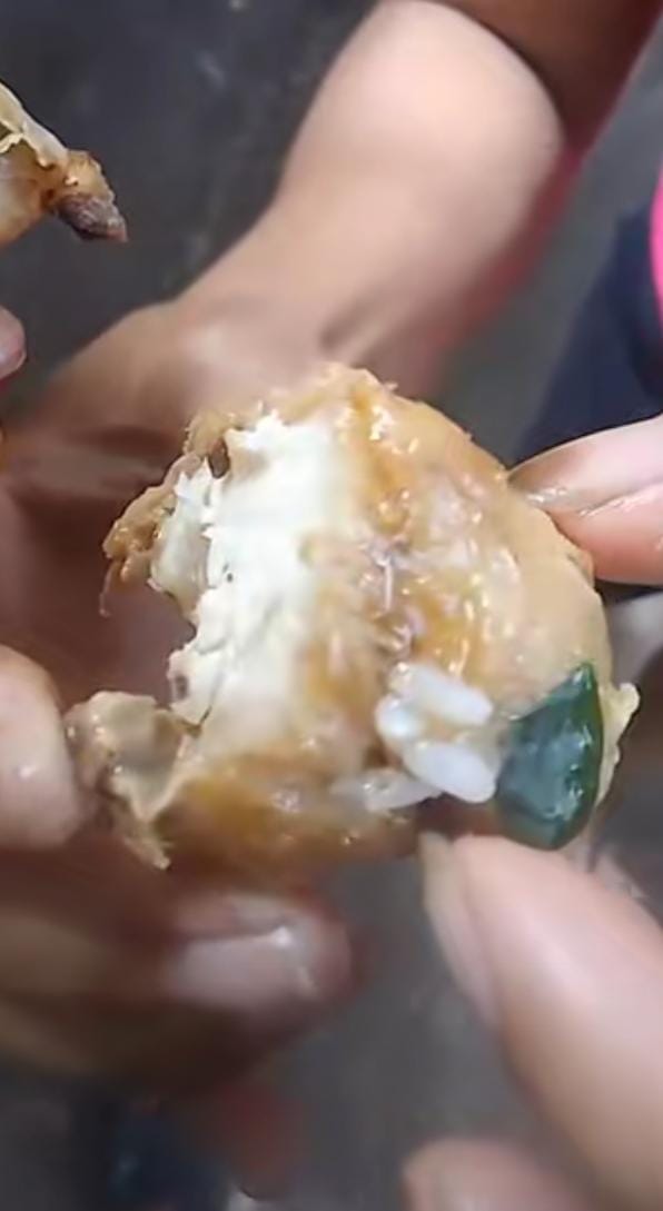 Viral di Medsos Lauk MBG di Kupang Dipenuhi Ulat