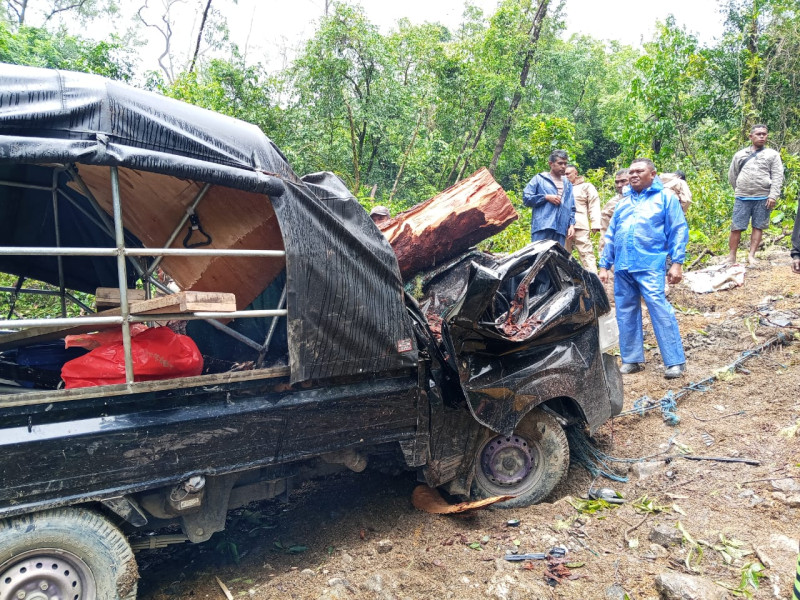 Mobil Pick Up di Kupang Ringsek Tertimpa Pohon Tumbang