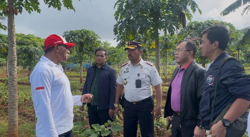 SAE Lapas Kupang Ubah Lahan Karang Jadi Pertanian Produktif