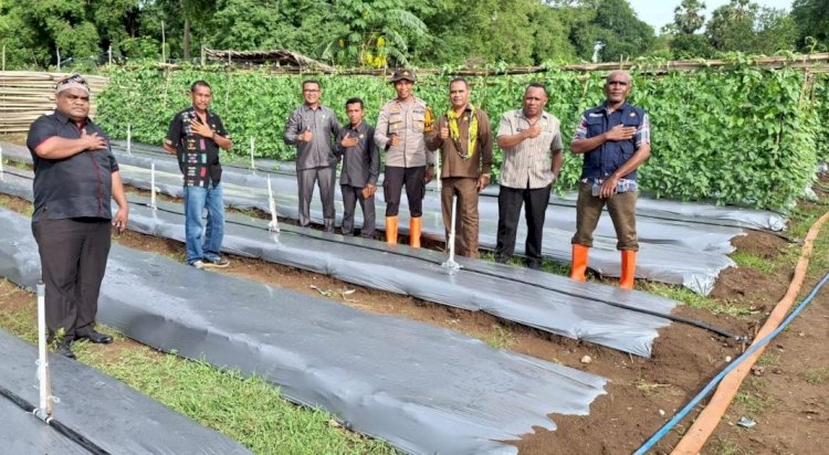 Wakil Rakyat di Kabupaten TTS Apresiasi Terobosan Polsek Kualin 'Sulap' Lahan Pasir Jadi Sentra Hortikultura