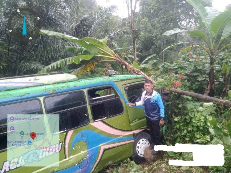 Sopir Ngantuk dan Hilang Kendali, Bus Masuk Jurang