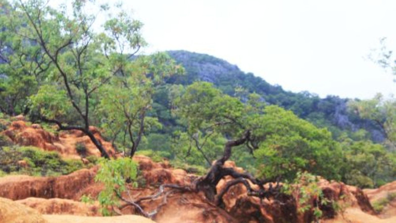 Ada Pendaki Alami Hipotermia, BBKSDA NTT Tutup Sementara Kunjungan ke Mutis