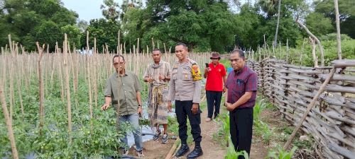 Anggota DPR RI Apresiasi Inovasi Polsek Kualin Kelola Pekarangan