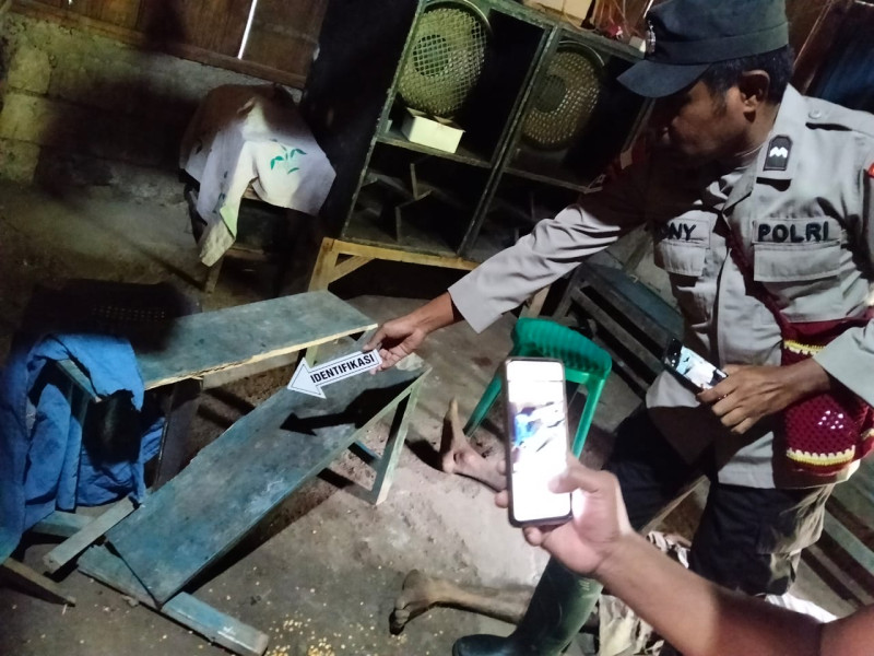 Diduga Dendam Lama Dan Mabuk Miras, Petani di Amfoang Aniaya Iparnya Hingga Tewas