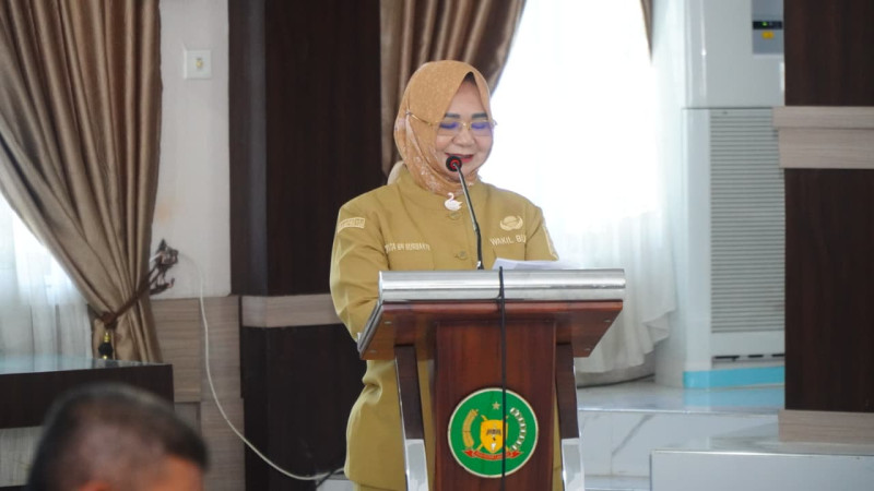 Wakil Bupati Langkat Buka Workshop Integrasi Data Program Sehati Bunda