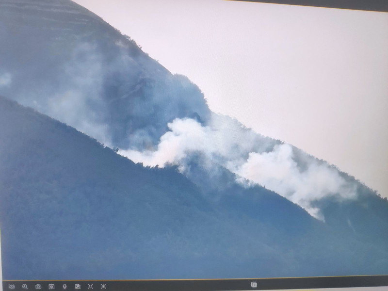 Kebakaran Vegetasi di Gunung Iya, Ende, Masih Berlanjut