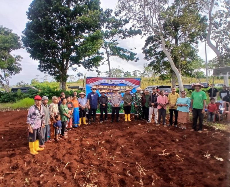 Panen Jagung Sukses di Tahun 2025, Polres TTS Kembali Kelola 1.500 Hektar Lahan Untuk 2026
