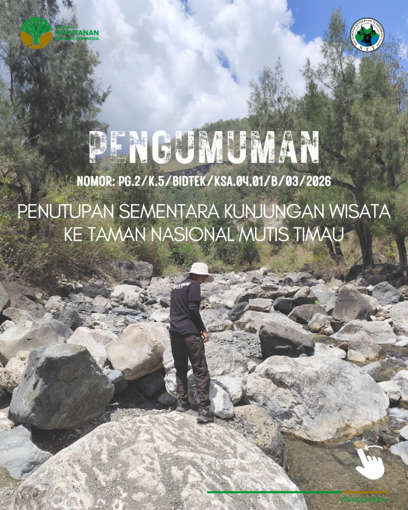 Pertimbangan Cuaca, TN Mutis Timau Kembali Ditutup Untuk Berbagai Aktivitas