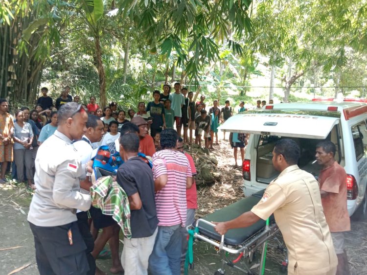 Truk Muatan Pasir Terbalik, Pemilik Kendaraan Tewas di Lokasi Kejadian