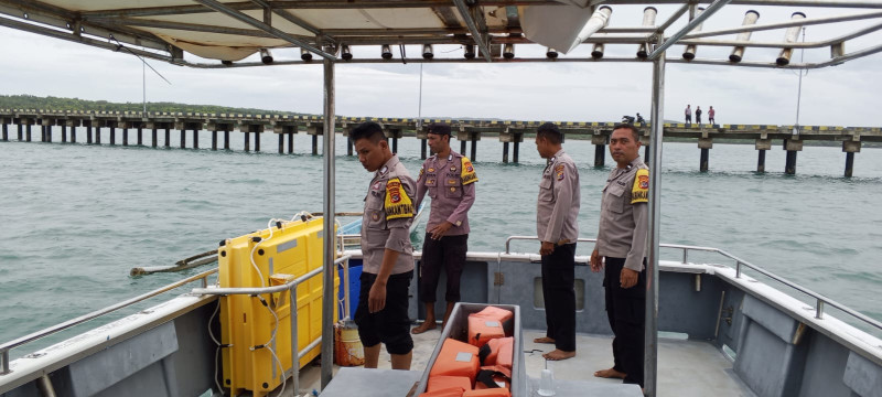 Terdampar di Perairan Rote Ndao, Segerombolan Ikan Paus Pilot Diselamatkan Polisi