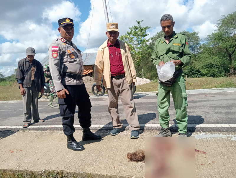 IRT di Kabupaten TTS Sekarat Dianiaya dengan Parang