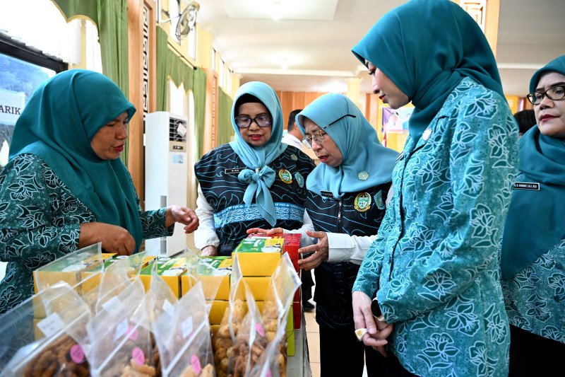 TP PKK Sumut Luncurkan Aplikasi SIPANDA untuk Tertib Administrasi dan Pendataan Digital