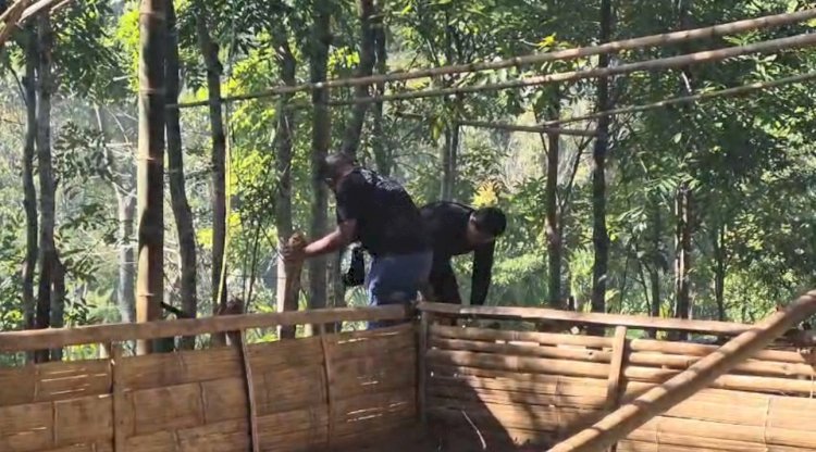 Arena Judi Sabung Ayam di Manggarai Dibongkar Polisi