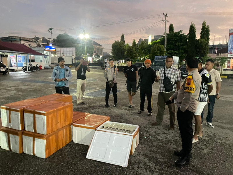 Ribuan Liter Miras Diamankan Polres Sumba Barat Selama Operasi Semana Santa 2026