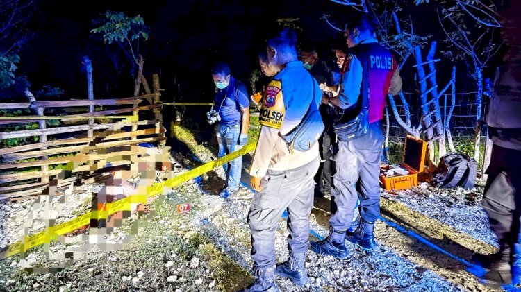 Masalah Ternak Domba, Warga Rote Ndao Tewas Ditebas dengan Parang