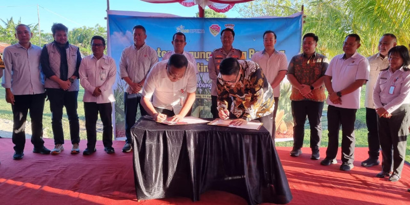 Tani Optima Group Rubah Pola Kerja Petani, Hasil Jagung Tembus 6&ndash;7 Ton per Hektar