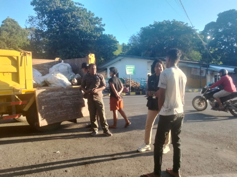 Belasan Pohon Santigi Diamankan Polisi di Kawasan Bolok-Kupang