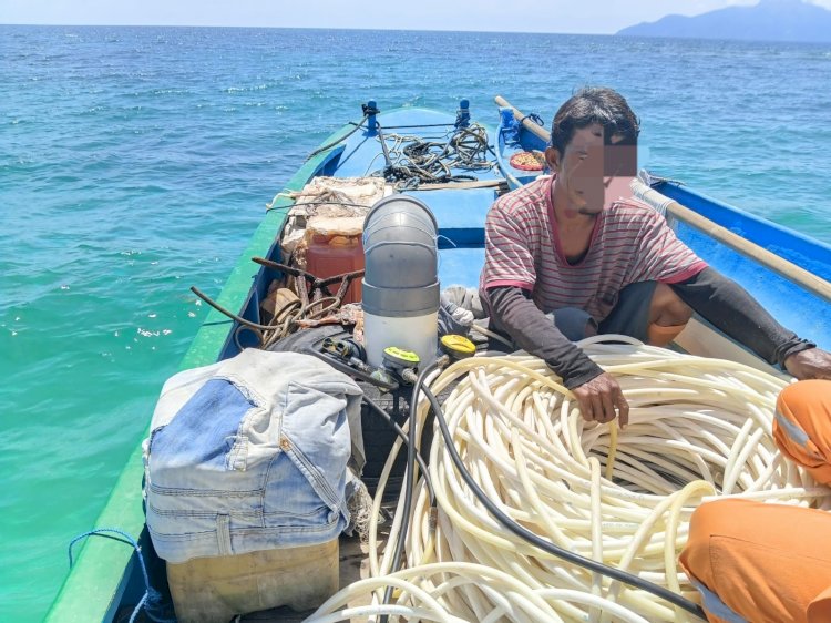 Sat Polairud Polres Ende Gagalkan Penangkapan Siput Laut Secara Ilegal